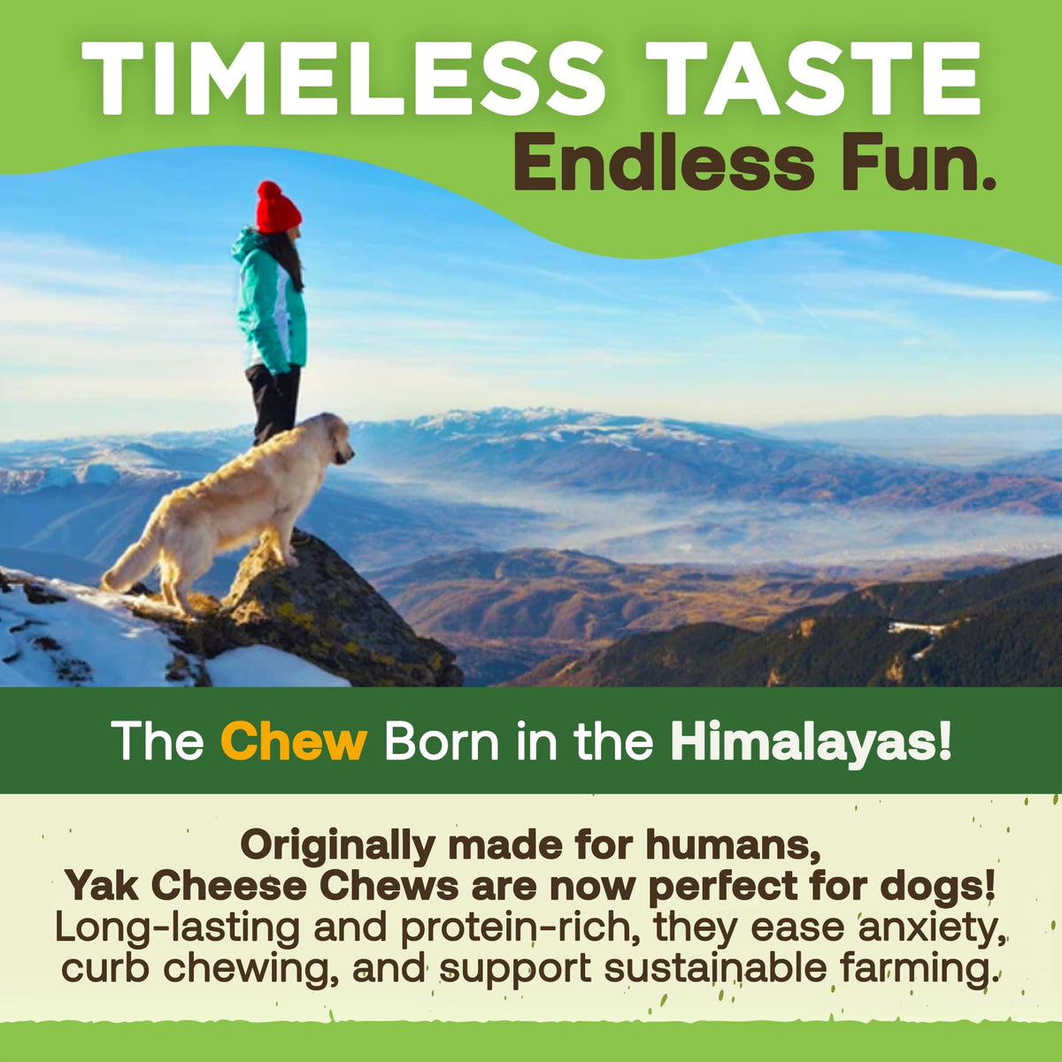 EcoKind Yak Cheese Himalayan Dog Chews, Yak Chews for Large Dogs, 5 Bones