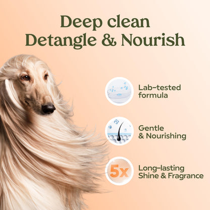 PAWFUME Dog Shampoo and Conditioner, Blue Ribbon, 1-Pack