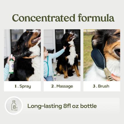 PAWFUME Dog Shampoo and Conditioner, Blue Ribbon, 1-Pack