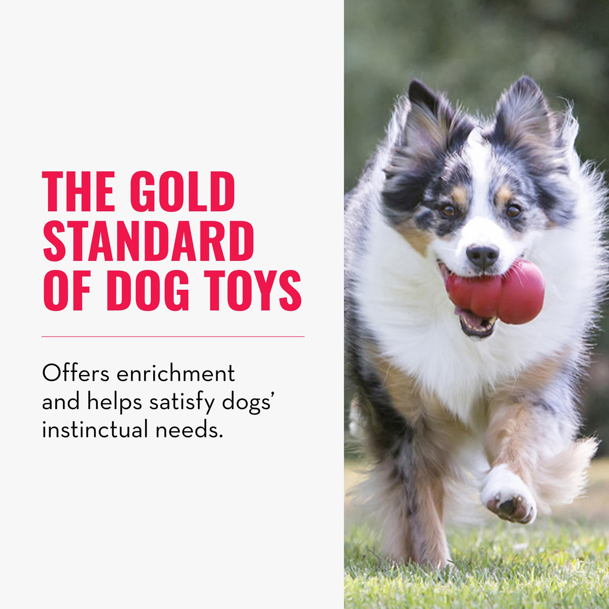 KONG Classic Stuffable Dog Toy, Natural Rubber Chew, for Medium Dogs