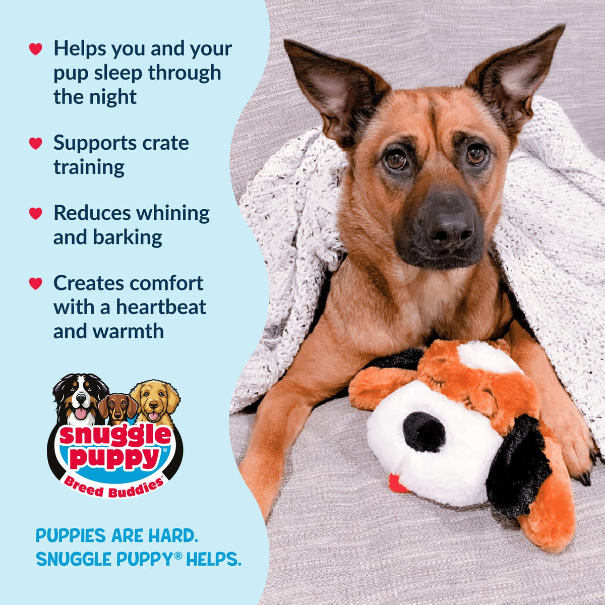 Snuggle Puppy Heartbeat Toy, Calming Comfort, Medium Breeds - Biscuit