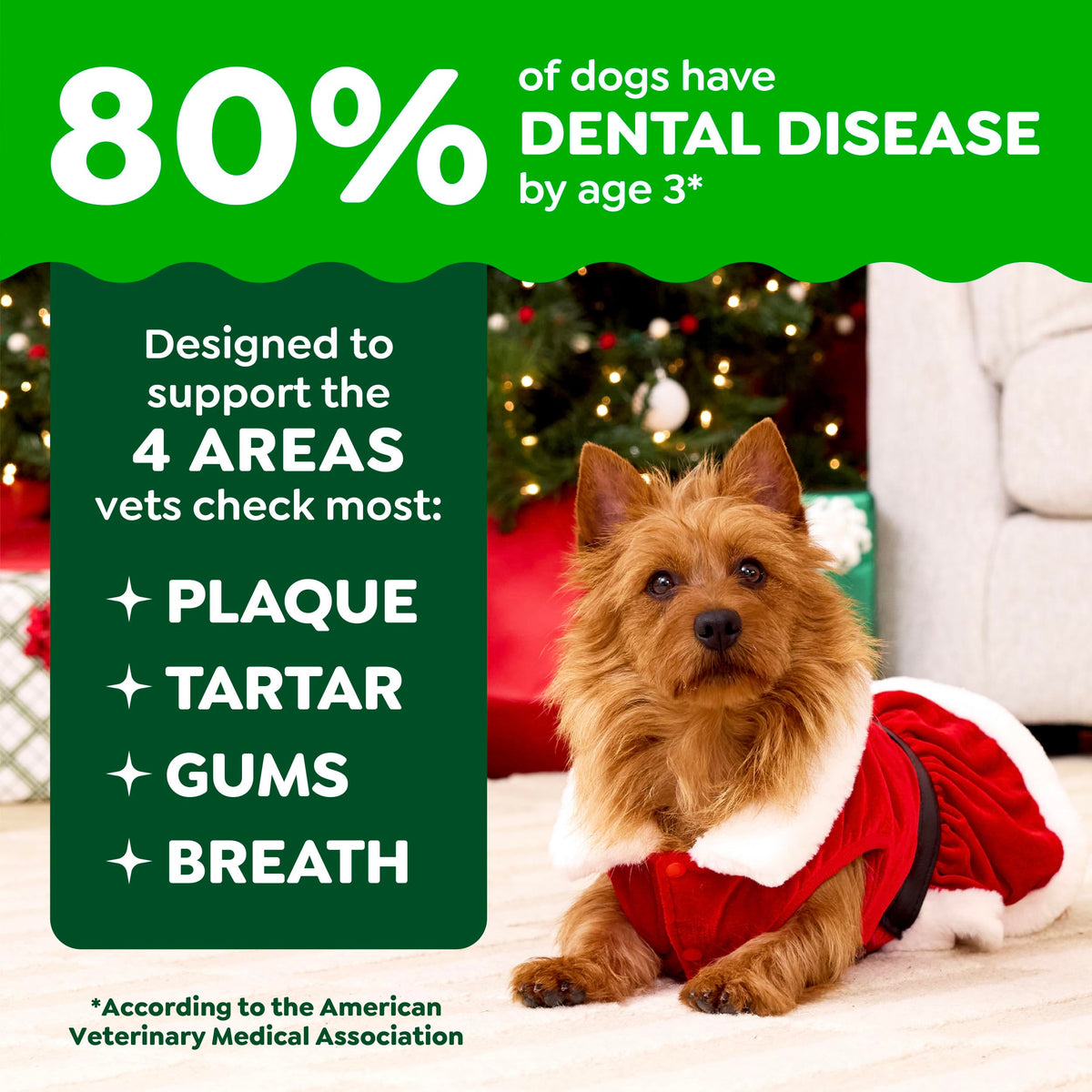 Greenies Teenie Natural Dental Dog Treats, Fresh Mint Flavor, 43 Count