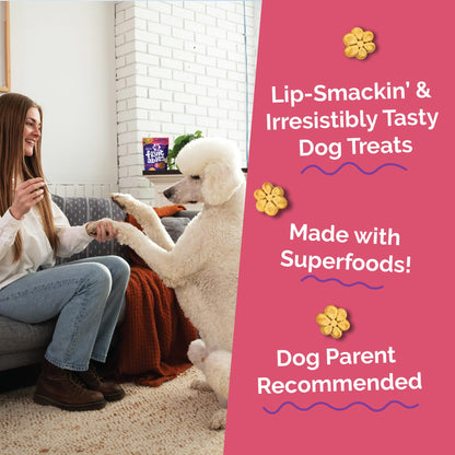 Fruitables Baked Dog Treats, Low Calorie Treats, Pumpkin & Blueberry, 12oz