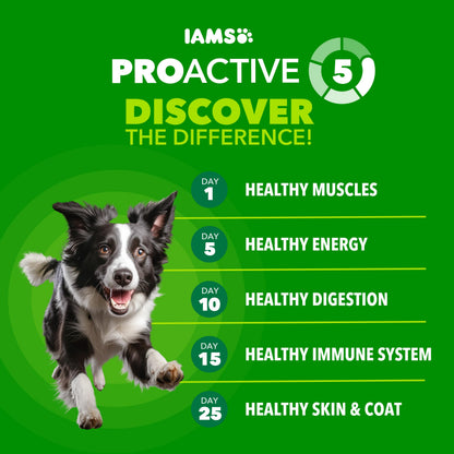IAMS Proactive Health Adult Minichunks Dry Dog Food, Chicken, 30 lb