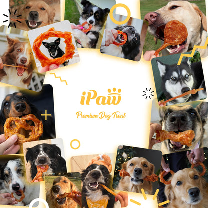 iPaw Turkey Tendon for Dogs Value Pack, All Natural Human Grade Puppy Chew