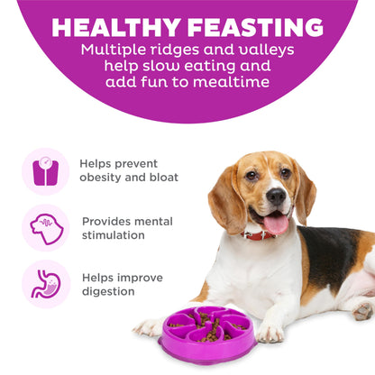 Outward Hound Fun Feeder Slo Bowl Dog Slow Feeder, Wave, Pink, 5.8"