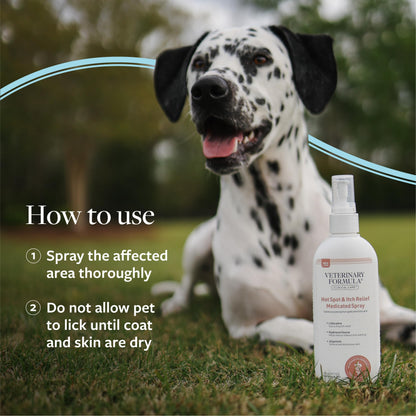 Veterinary Formula Clinical Care Hot Spot & Itch Spray, 8 Fl Oz (Pack of 12)