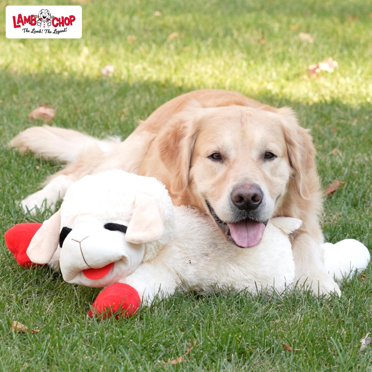 Multipet Lamb Chop Dog Plush Toy - Squeaky Toy