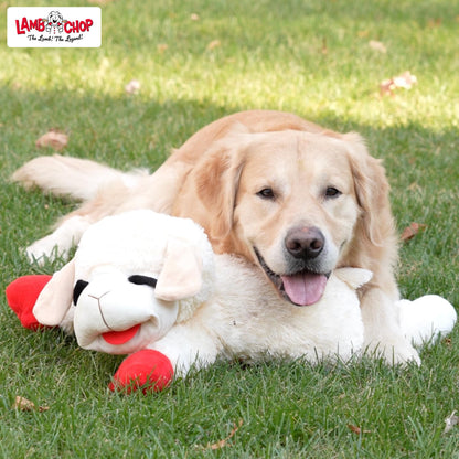 Multipet Lamb Chop Dog Plush Toy - Squeaky Toy