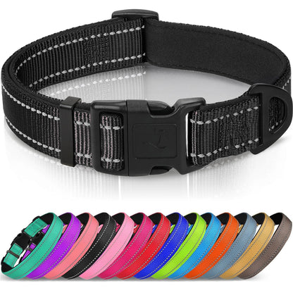 Joytale Reflective Dog Collar, Adjustable Neoprene Padded, Purple M