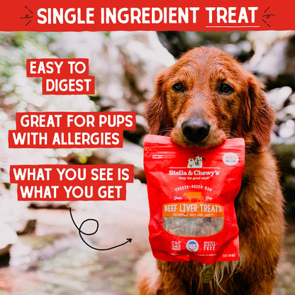 Stella & Chewy's Freeze-Dried Raw Chicken Breast Dog Treats - Single Ingredient, No Additives - Premium Training Treats - Perfect For Picky Eaters - 2.75oz Bag