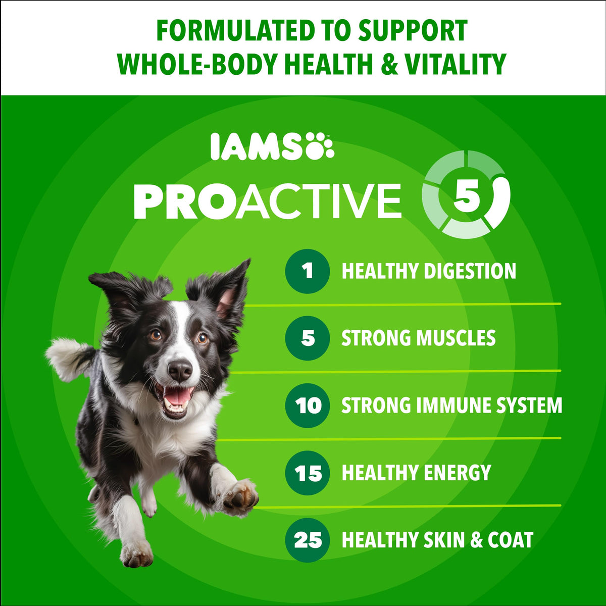 IAMS Proactive Health Adult Minichunks Dry Dog Food, Chicken, 30 lb