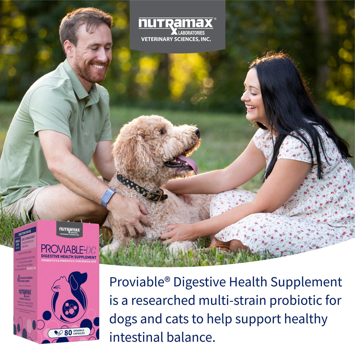 Nutramax Proviable Probiotics for Dogs & Cats, Sprinkle Capsules, 30ct