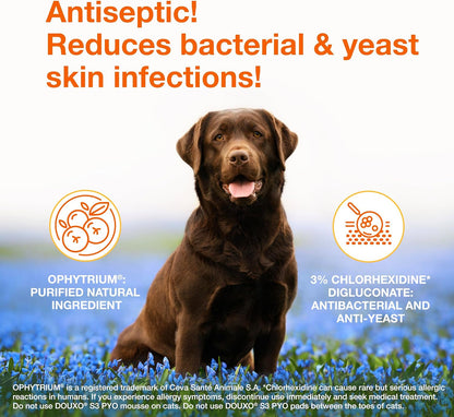 Douxo S3 PYO Medicated Dog Shampoo with 3% Chlorhexidine for Dogs – Antibacterial & Antiseptic Yeast Infection Treatment For Dogs & Cats, Clinically Proven, 6.7 fl oz