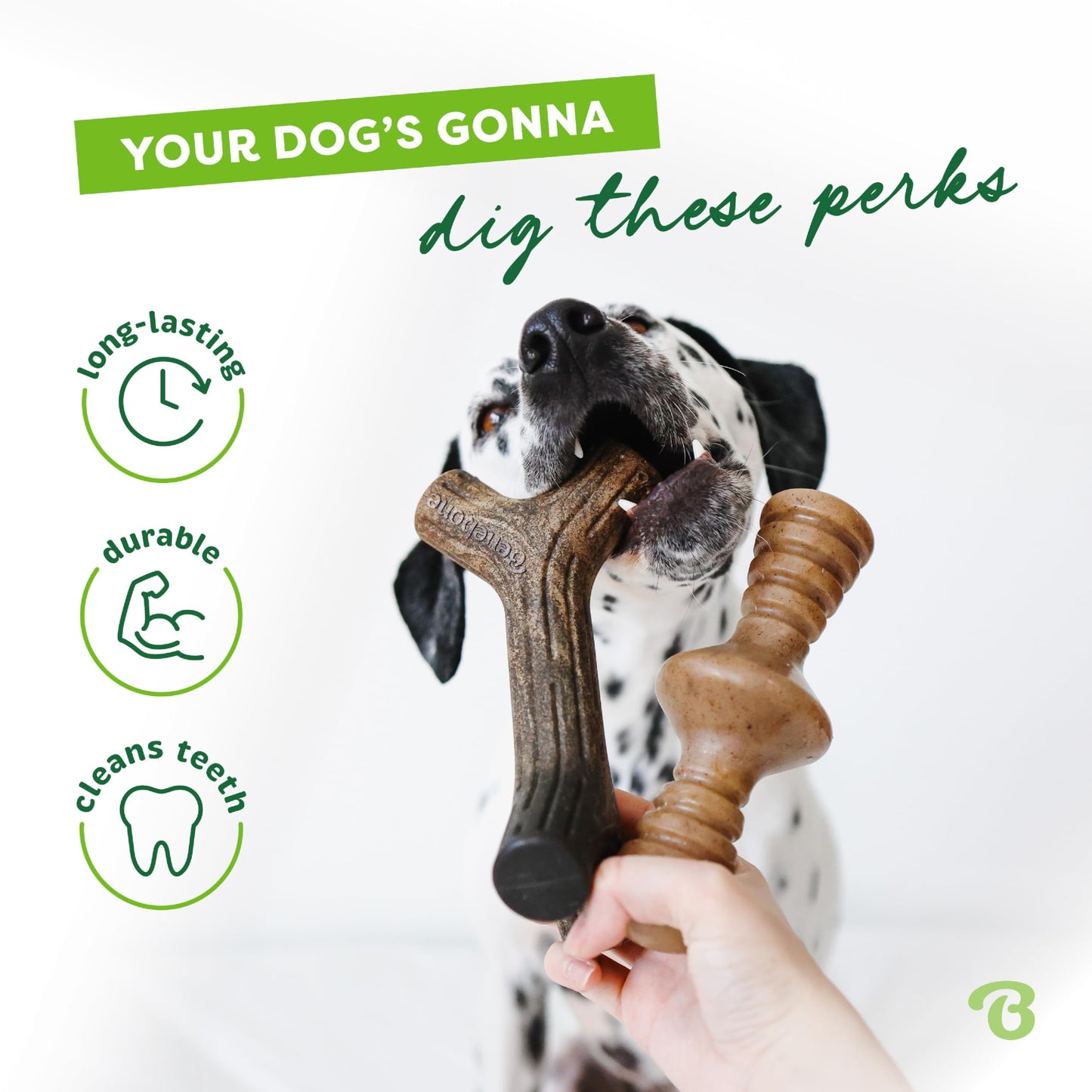 Benebone 7-Pack Dog Chew Toys for Aggressive Chewers, Dog Bones, Medium