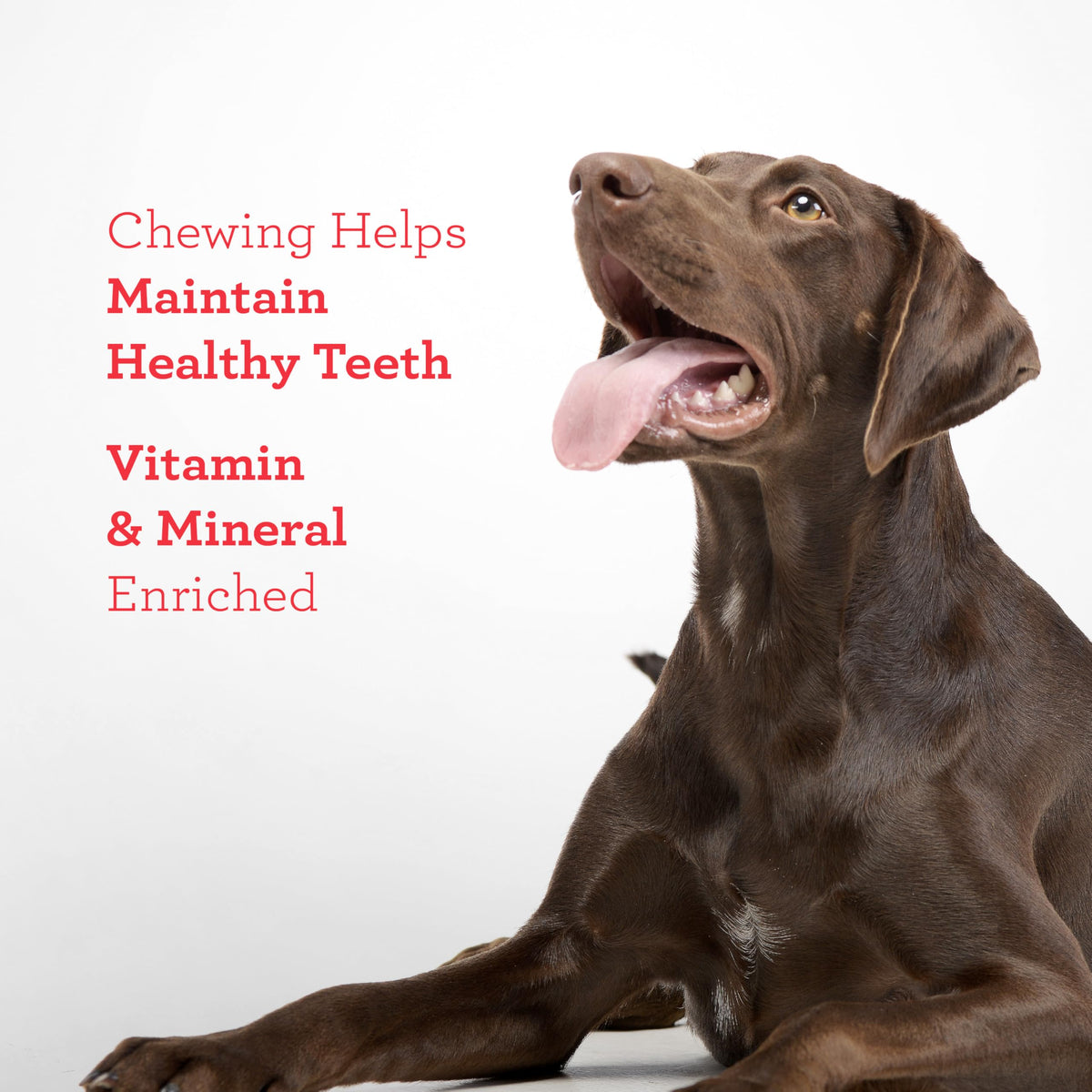 DreamBone Twisties Rawhide-Free Dog Treats with Real Protein, 25 Count