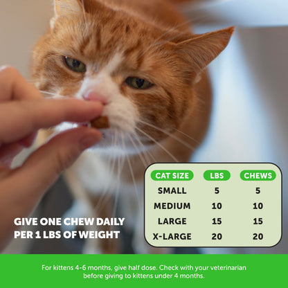 Cat Hairball Remedy Treats - Dual Texture Crunchy Creamy Hairball Treatment for Cats, Furball Relief Control Supplement with Fiber, Fish Oil for Indoor Cats Skin Coat Digestion (90-Day Supply)