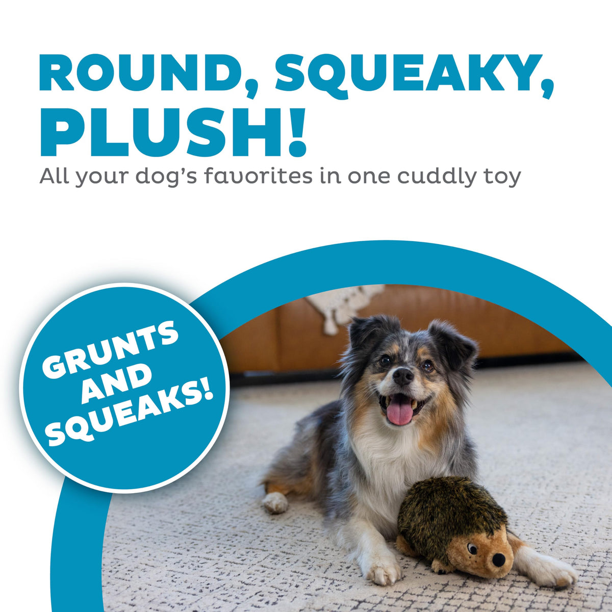 Outward Hound Hedgehogz Plush Dog Toy, Squeaks & Grunts, Medium, 9" x 6.5"