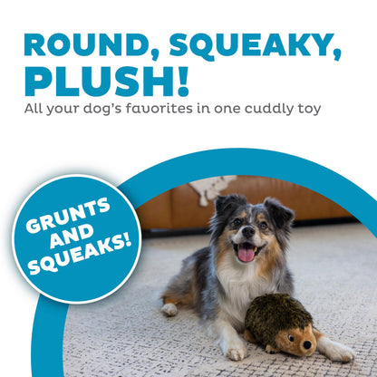 Outward Hound Hedgehogz Plush Dog Toy, Squeaks & Grunts, Medium, 9" x 6.5"