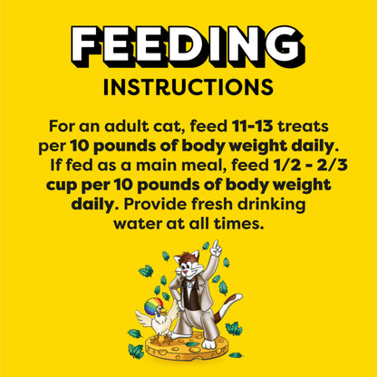 Temptations MixUps Crunchy and Soft Cat Treats, Catnip Fever, 16 oz