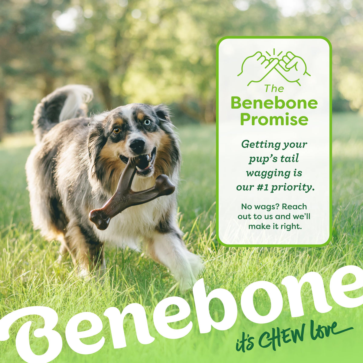 Benebone Wishbone Dog Chew Toy for Aggressive Chewers, Real Bacon, Medium