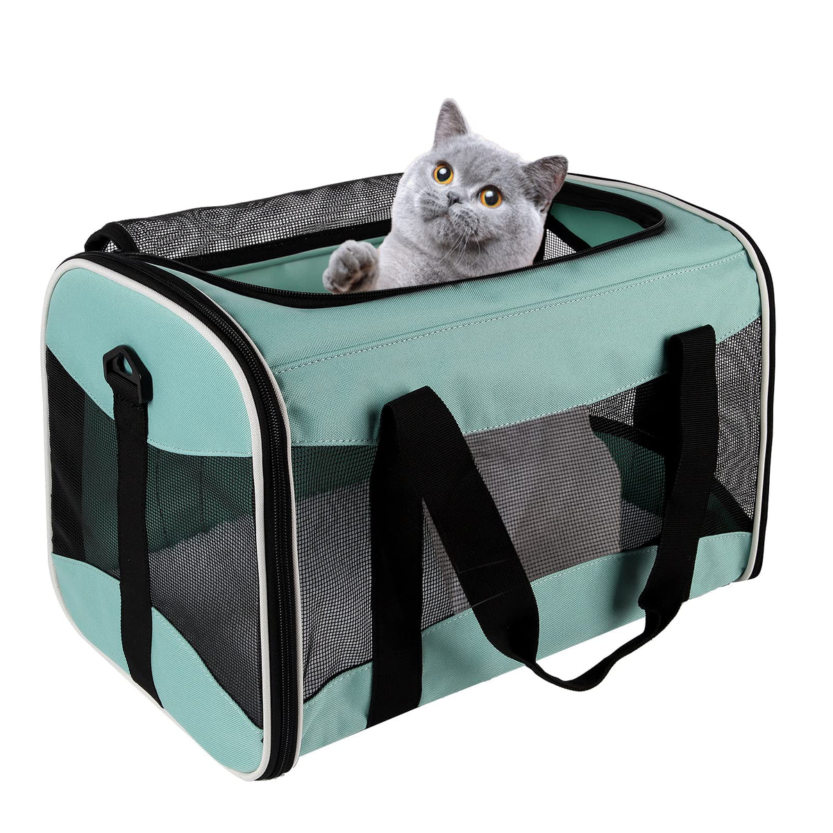 Cat Dog Carriers Soft-Sided Pet Carrier Large Cats for Medium Big Cat Small Dog Puppy up to 16lbs TSA Airline Approved Animal Collapsible Cat Carrier Carriers Travel Carrier Cat Bag (17x11x11)