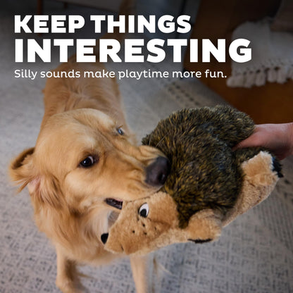Outward Hound Hedgehogz Plush Dog Toy, Squeaks & Grunts, Medium, 9" x 6.5"