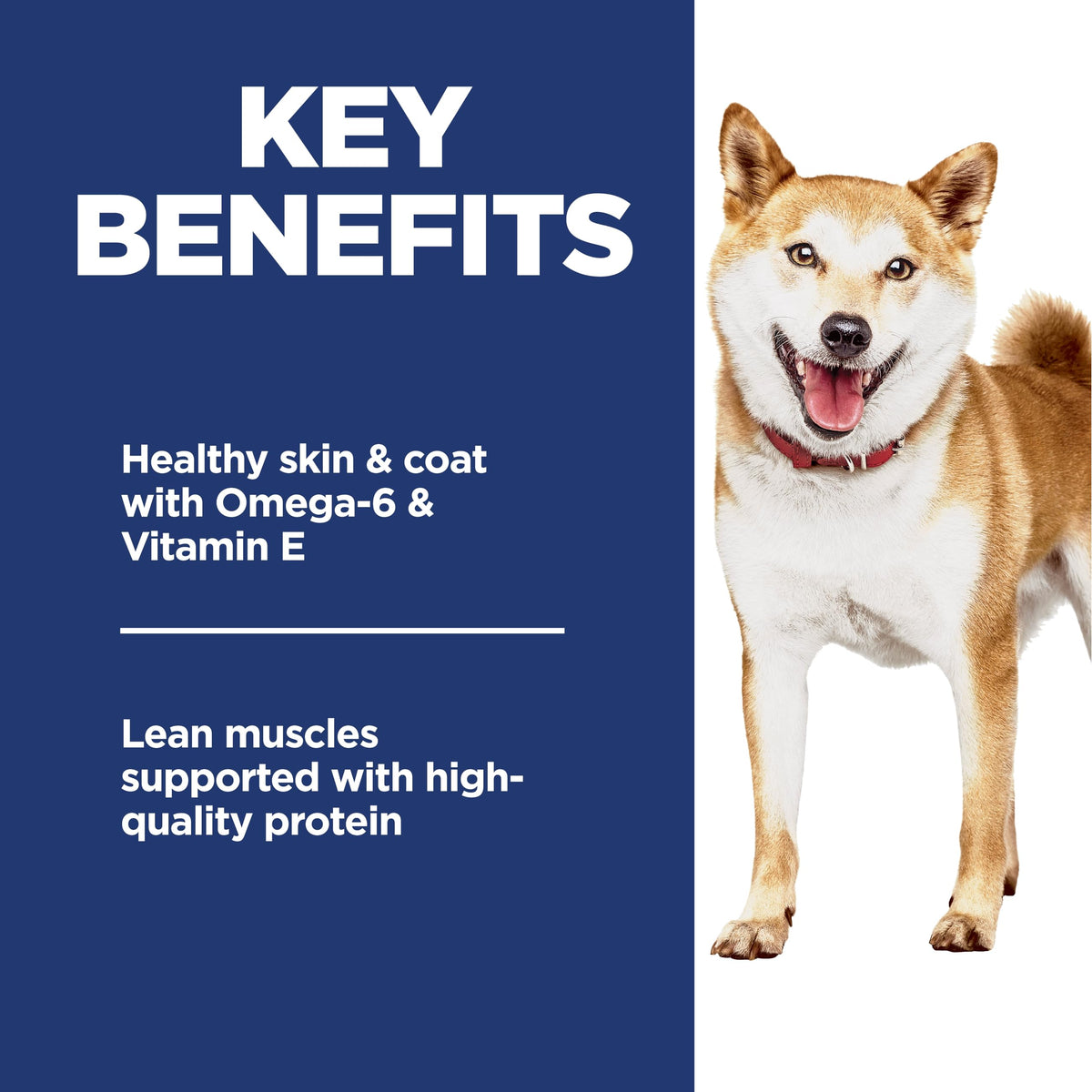 Hill's Science Diet Adult 1-6 Dry Dog Food