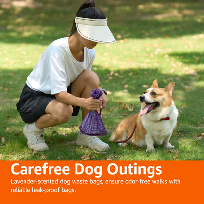 Basics Dog Poop Leak Proof Bags with Dispenser and Leash Clip, Unscented, 13" x 9" Large Size, 300 Count