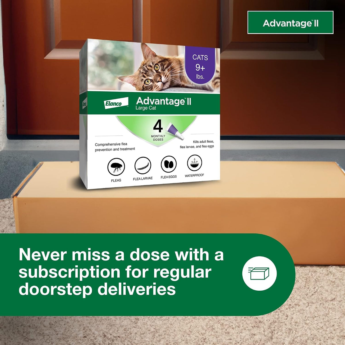 Advantage II Large Cat Topical Flea Treatment & Prevention, 4ct