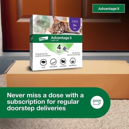 Advantage II Large Cat Topical Flea Treatment & Prevention, 4ct