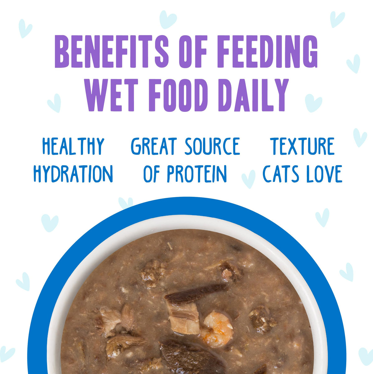 Weruva B.F.F. OMG - Best Feline Friend Oh My Gravy! Tuna & Chicken Charm Me with Tuna & Chicken in Gravy Cat Food, 3oz Pouch (Pack of 48)