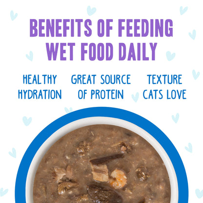 Weruva B.F.F. OMG - Best Feline Friend Oh My Gravy! Tuna & Chicken Charm Me with Tuna & Chicken in Gravy Cat Food, 3oz Pouch (Pack of 48)