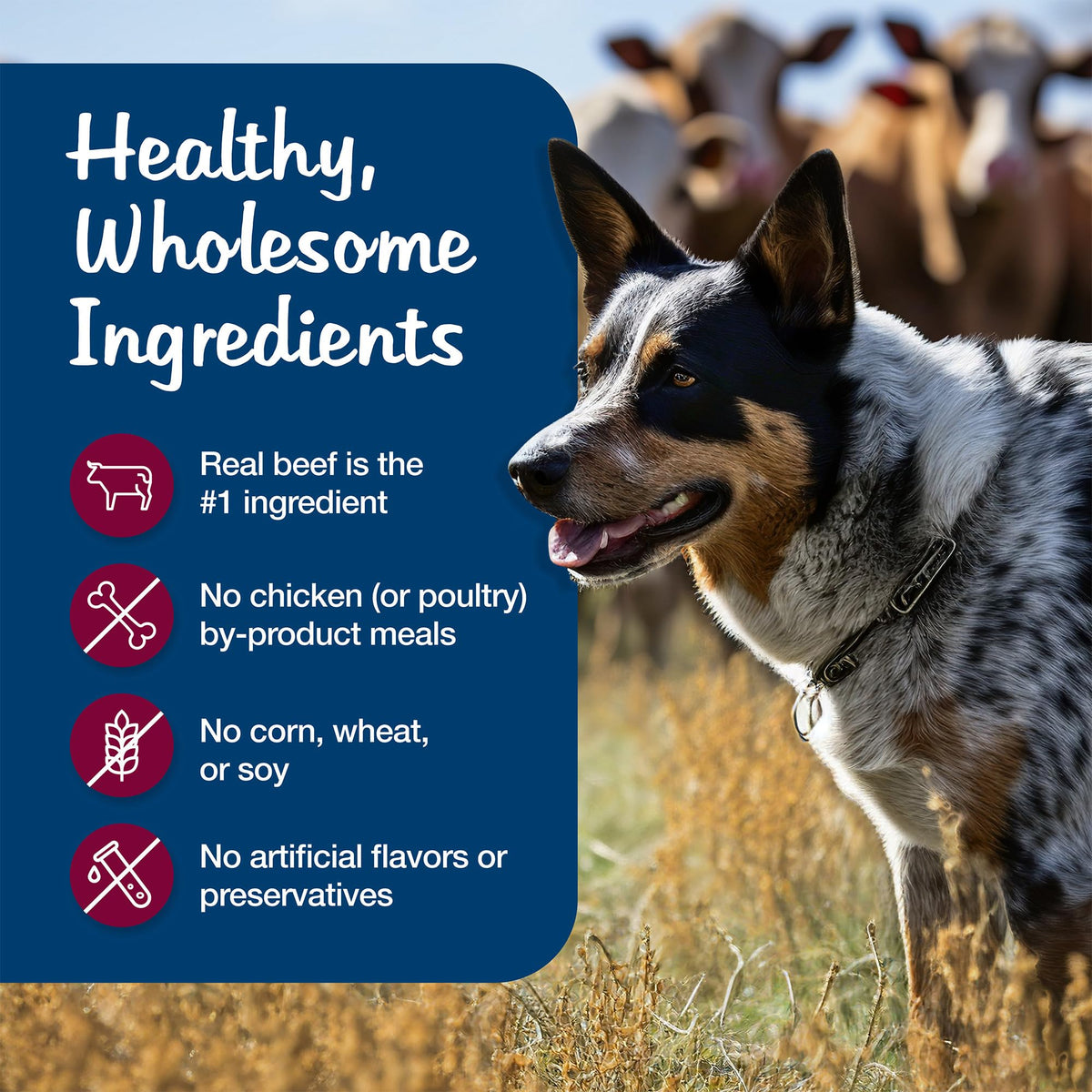 Blue Buffalo Blue's Stew Variety Pack Wet Dog Food, 12.5 oz, 6 ct