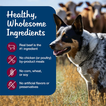Blue Buffalo Blue's Stew Variety Pack Wet Dog Food, 12.5 oz, 6 ct