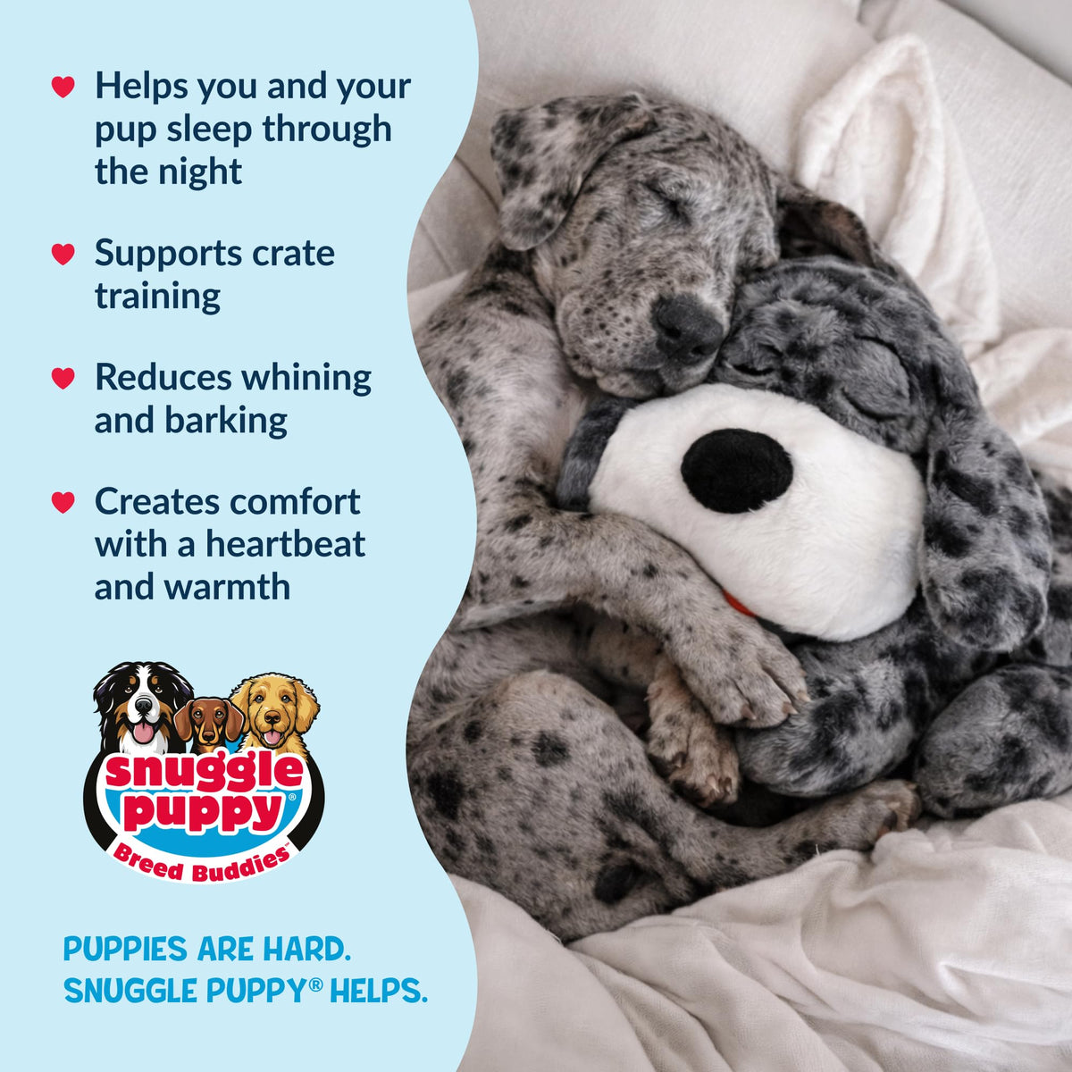 Snuggle Puppy Heartbeat Toy, Calming Comfort, Medium Breeds - Biscuit