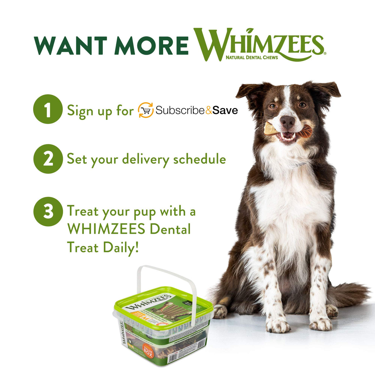 Wellness WHIMZEES Value Pack Natural Dog Dental Treat, Chews, Freshens Breath, Large Size, 50.9 oz Box, 24 Count