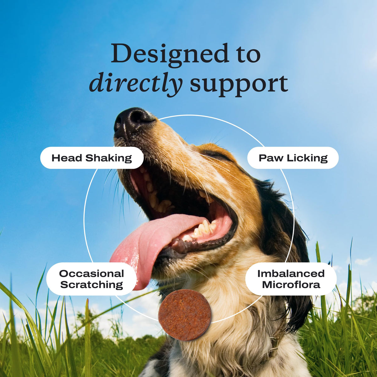 PetLab Co. Allergy & Immune Probiotic Chews, 2-Pack, Pork