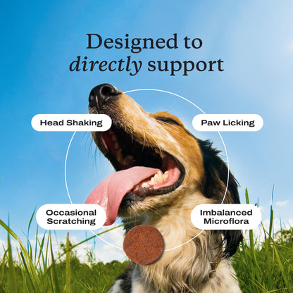 PetLab Co. Allergy & Immune Probiotic Chews, 2-Pack, Pork