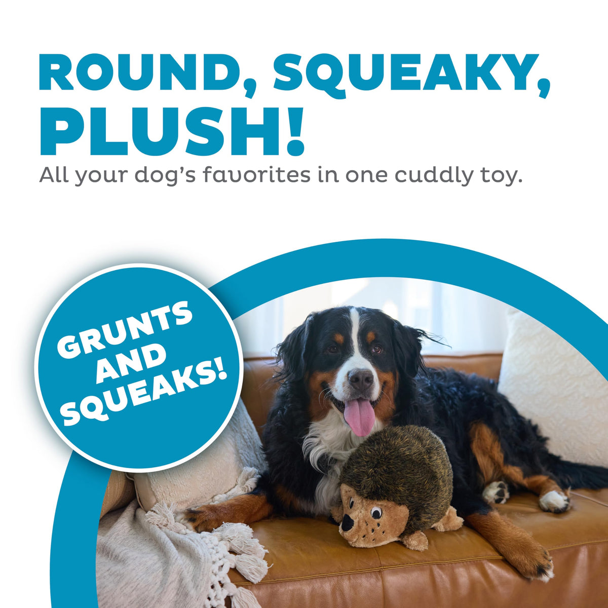 Outward Hound Hedgehogz Plush Dog Toy, Squeaks & Grunts, Medium, 9" x 6.5"
