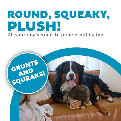 Outward Hound Hedgehogz Plush Dog Toy, Squeaks & Grunts, Medium, 9" x 6.5"