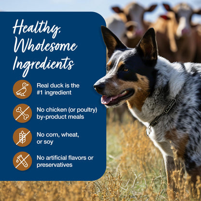 Blue Buffalo Blue's Stew Variety Pack Wet Dog Food, 12.5 oz, 6 ct
