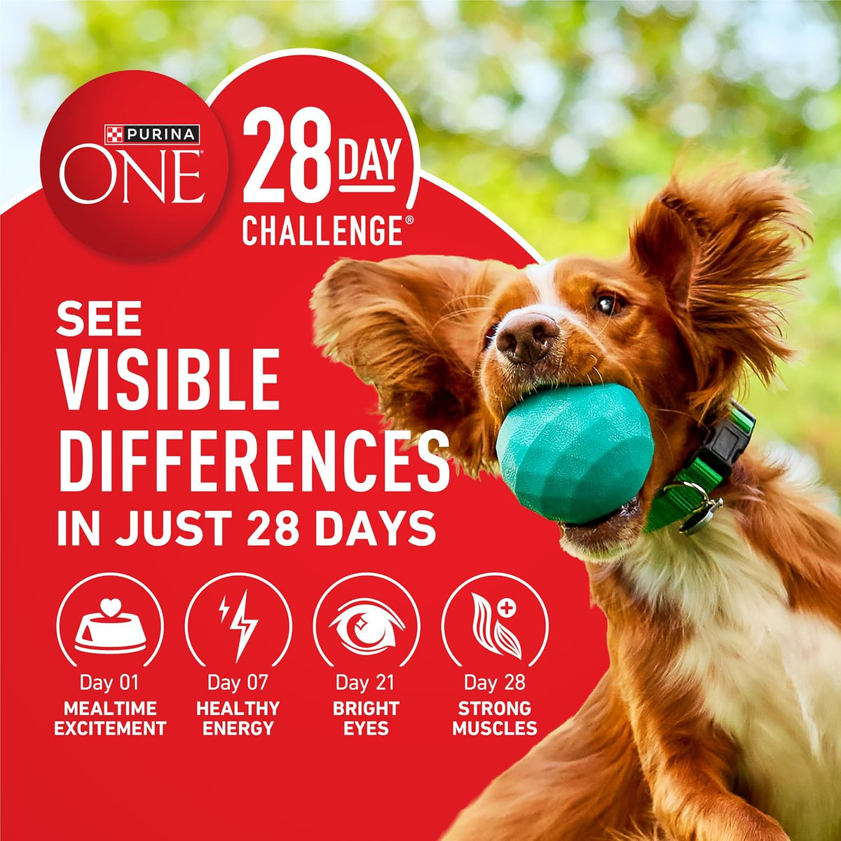 Purina ONE Lamb and Rice Formula Dry Dog Food for Digestive Support