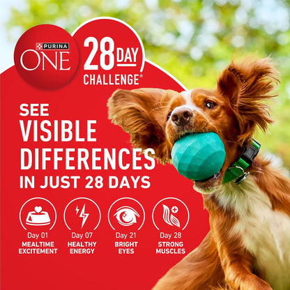 Purina ONE Lamb and Rice Formula Dry Dog Food for Digestive Support