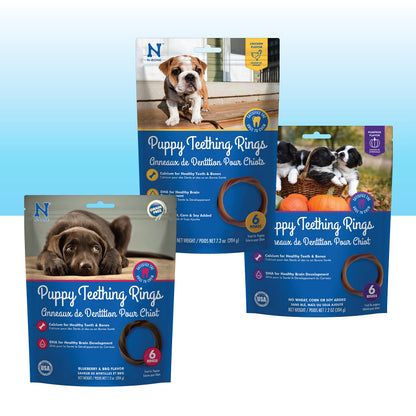 N-Bone Puppy Teething Rings, Chicken Flavor, Natural Puppy Teething Chews & Chew Treats, Helps Soothe Teething Gums, Calcium Enriched, 6 Rings