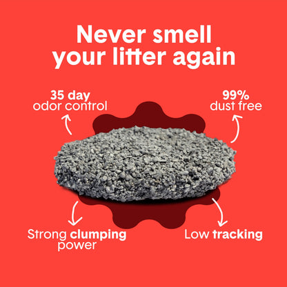 Boxie Premium Scented Clumping Cat Litter 30+ Day Odor Control 40 lb