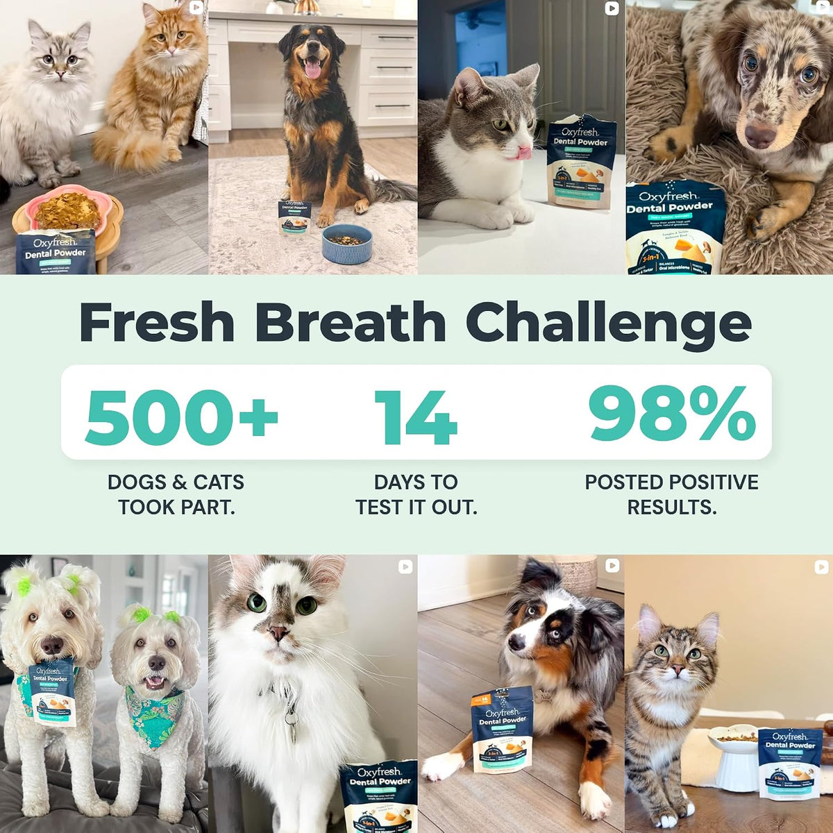 Oxyfresh Pro Dental Powder for Dogs & Cats – Teeth Cleaning Plaque Off