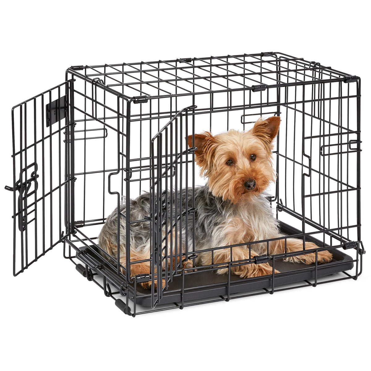 Midwest 42-Inch Single Door iCrate, for Large Breeds, 71-90 lbs