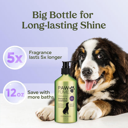 PAWFUME Dog Shampoo and Conditioner, Blue Ribbon, 1-Pack