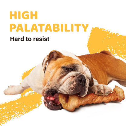 iPaw Turkey Tendon for Dogs Value Pack, All Natural Human Grade Puppy Chew
